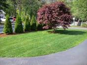 lawnphoto2